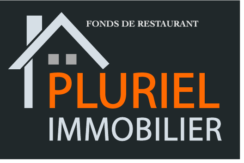 LOGO PLURIEL IMMOBILIER[14625] HD