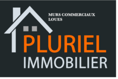 LOGO PLURIEL IMMOBILIER[14625] HD copie 2